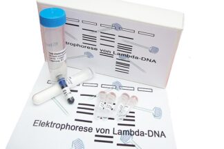 Elektroforese af lambda-DNA-0