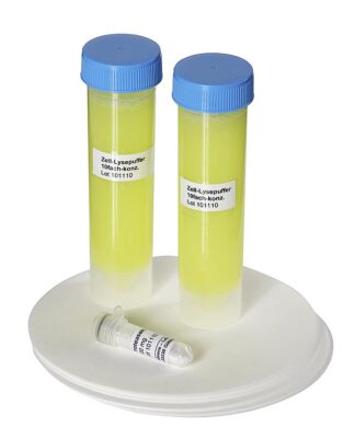 DNA ekstraktion fra løg, 15 forbrugssæt-0