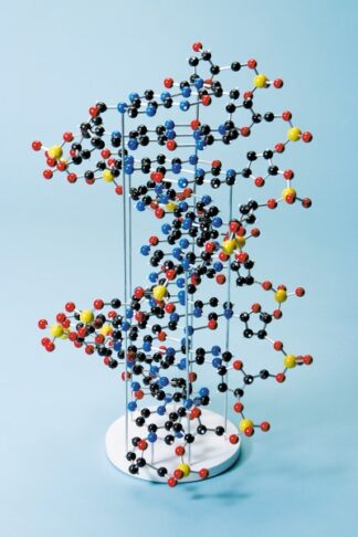 DNA bordmodel-0