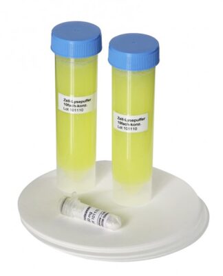DNA - ekstraktion fra løg, Refill-0