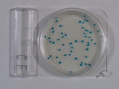 Compact Dry CF for coliforme bakterier, Pakke med 40 plader-12536