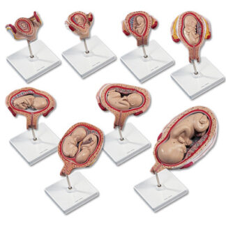 Graviditets-modeller